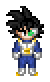 Normal Saiyan Outfit
