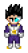 Normal Saiyan Outfit